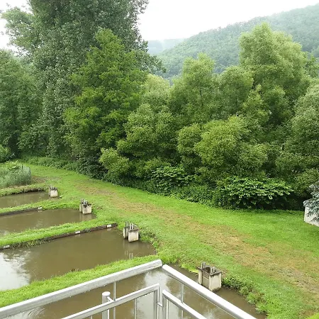Otel Ohne Fruehstueck In Der Forellenzucht Burgen (Mayen-Koblenz)